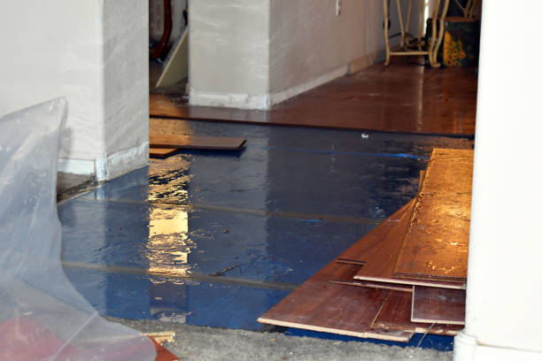Professional Water Damage Restoration technician working in Rock Creek, AL